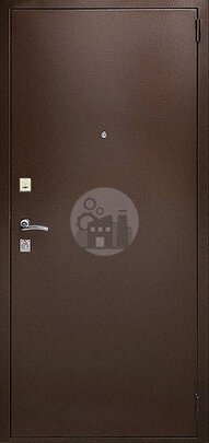 Металлическая дверь с двумя замками в дом-ДВ-739
