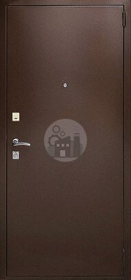 металлическая дверь с двумя замками в дом-ДВ-739